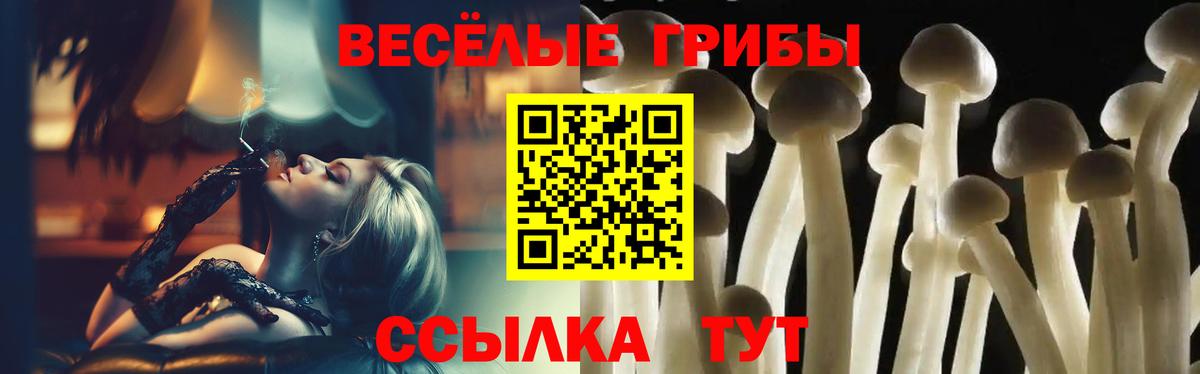 Псилоцибиновые грибы Psilocybine cubensis  наркотики  Лесосибирск  Галлюциногенные грибы мухоморы  Вход с VPN 