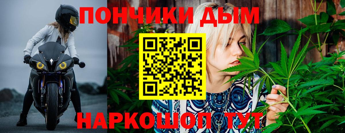 Бошки Шишки планчик Лесосибирск